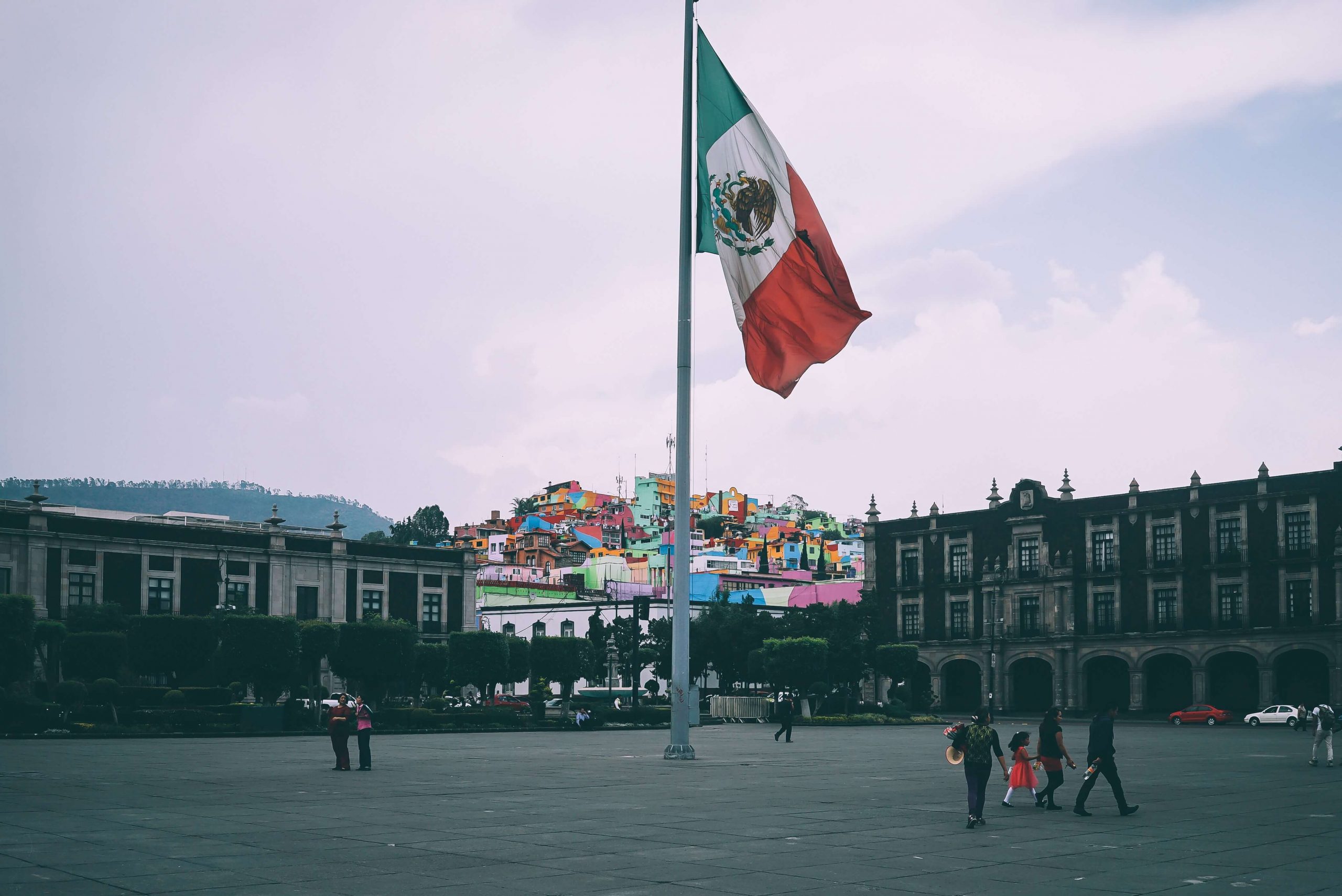 Consulting firm in Mexico
